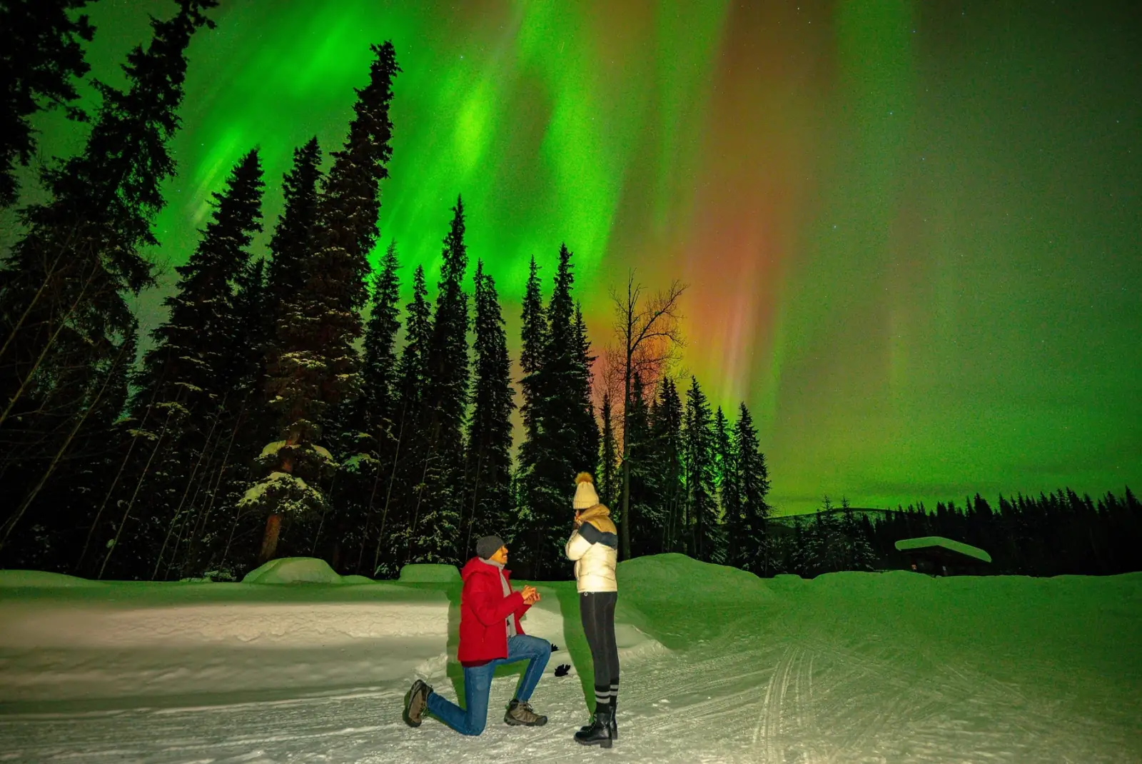 A proposal under the Northern Lights.